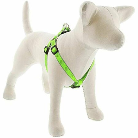 LUPINE PET Lupine 0.75 x 15-21 in. Diamond Dog Harness, Green 107743